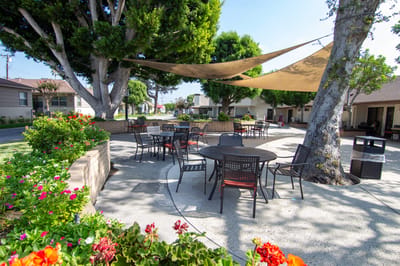 Outdoor space with shaded tables and vibrant flowers