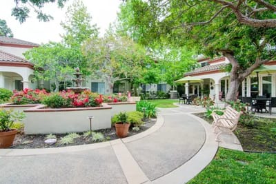 Lush garden area with pathway and seating