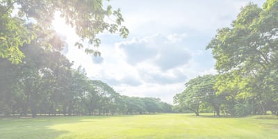 A spacious outdoor area with trees and cloudy skies