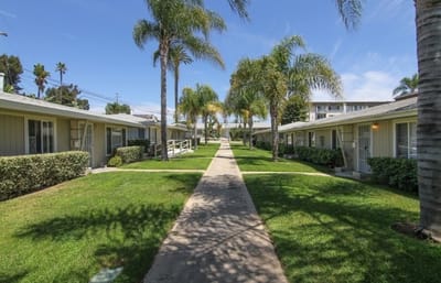 Pathway lined with palm trees and resident buildings