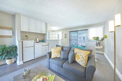 Bright living area with plant and kitchenette