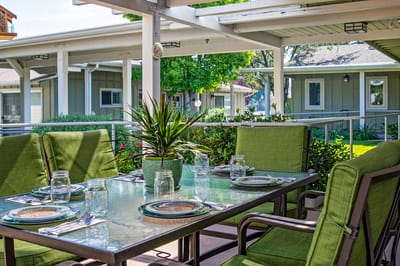 Outdoor dining area with green furniture and plant decor