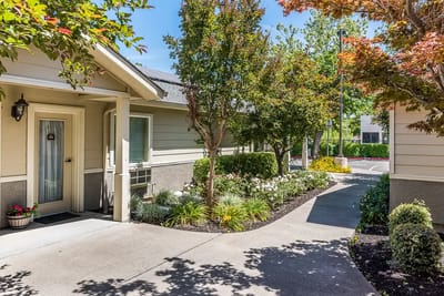 A landscaped outdoor pathway with plants and trees