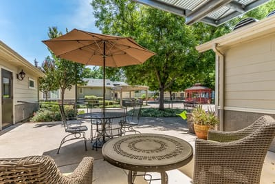 Outdoor seating area with plants and shade