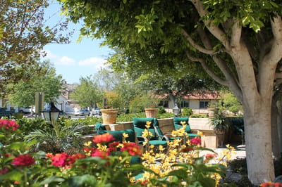 Outdoor seating area with flowers and greenery