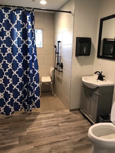 Bathroom setting with grab bars and shower