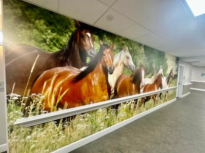 Mural of horses in a hallway