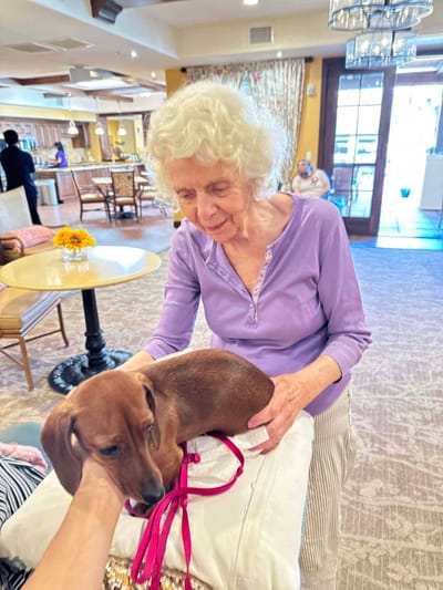 Resident interacting with a dog in the common area