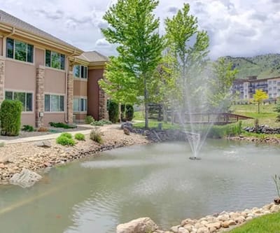 Scenic view of a pond with a fountain and trees