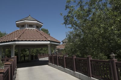 Outdoor gazebo surrounded by greenery