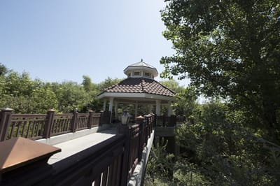 Covered gazebo in a serene outdoor space