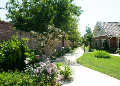 Pathway with flowers and greenery in a garden setting