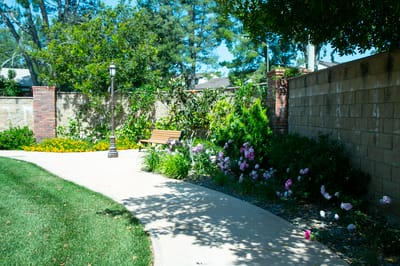 Pathway with a bench surrounded by flowers and greenery