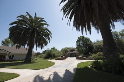 Pathway leading to a serene outdoor area with palm trees