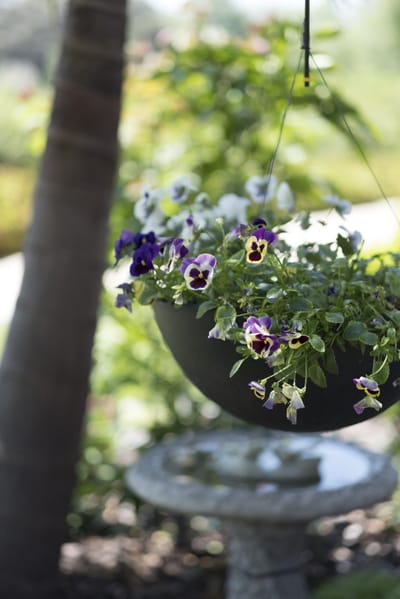 Hanging flower basket in a garden setting