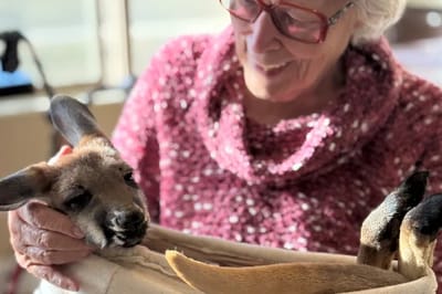 Resident holding a pet kangaroo in a cozy setting