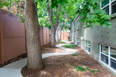 Pathway lined with trees near the facility