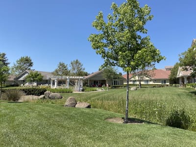 Outdoor view of landscaped area with buildings