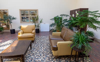 Cozy indoor lounge area with plants and seating