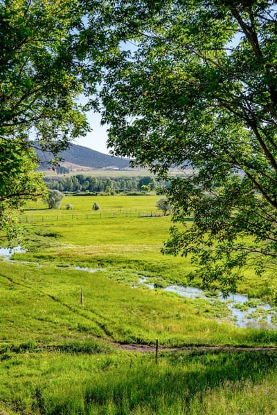 Scenic outdoor view with green fields and trees