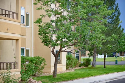 Exterior view of the senior living facility with trees