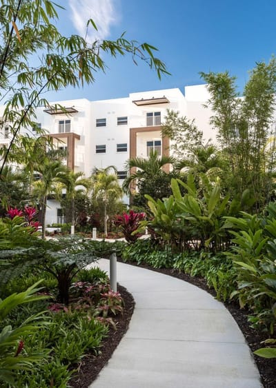 A serene outdoor path surrounded by lush greenery