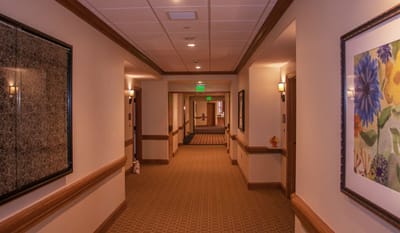 Interior hallway with paintings and decorative walls