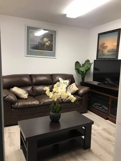 Cozy living area with a sofa and decorative plants