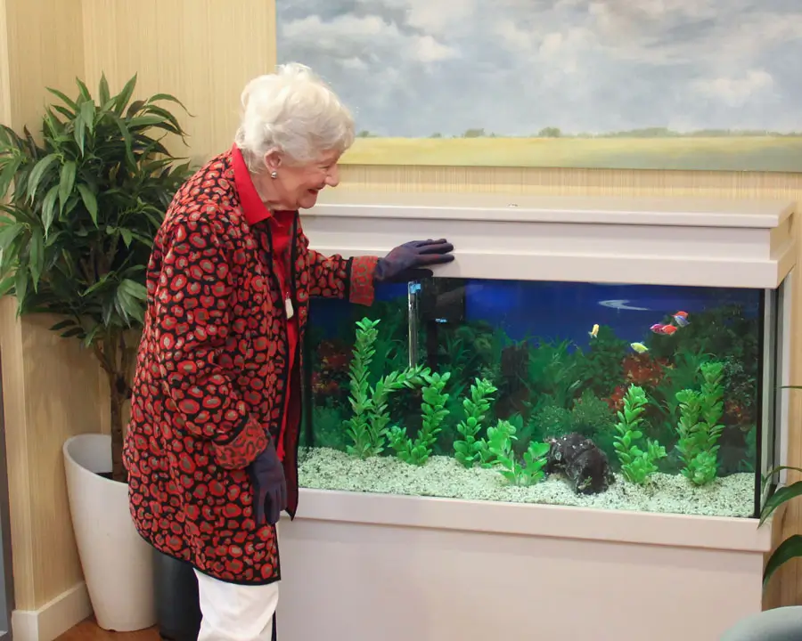 Resident admiring a fish tank in a communal area