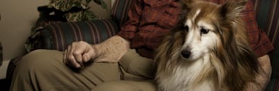Resident seated with a dog in a cozy interior setting