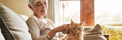 Senior woman petting a cat in a cozy living room
