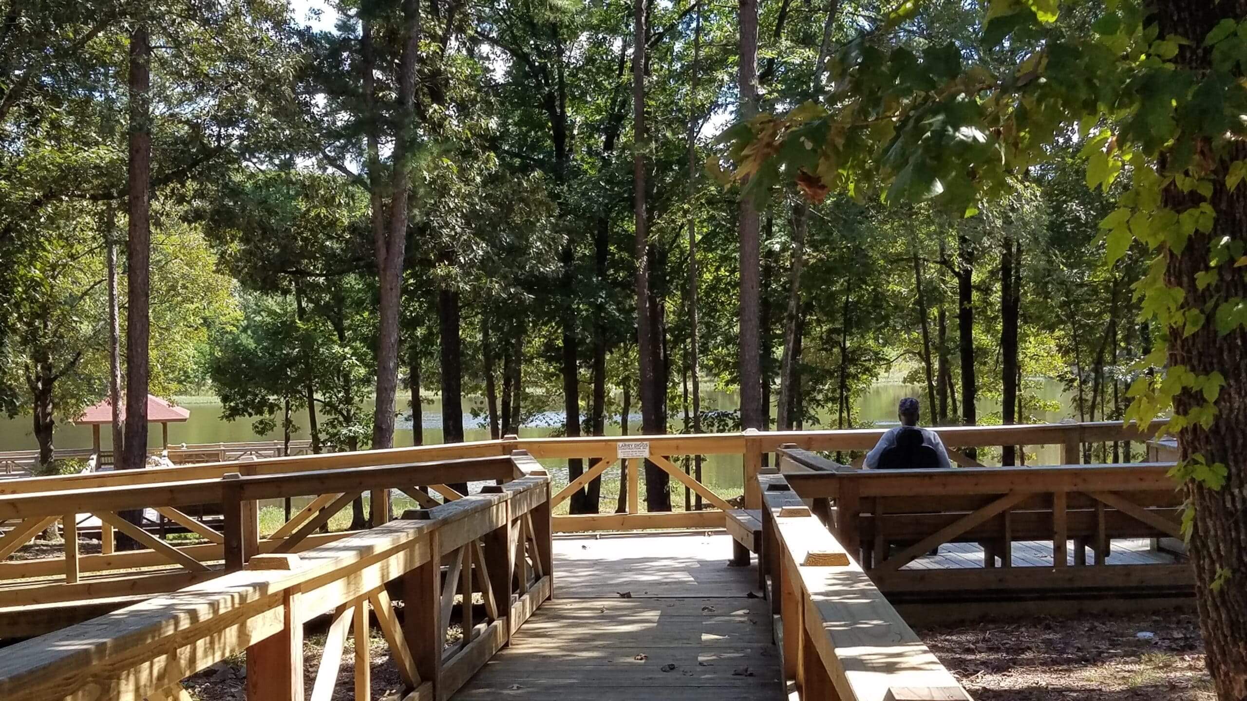 Wooden path leading to water with a person seated