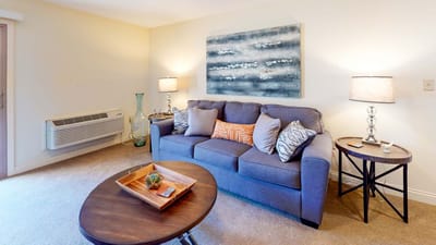 Cozy living area with a couch and decorative art