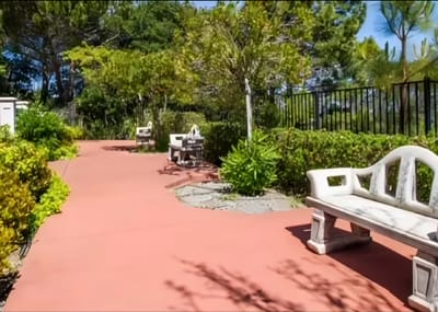 Pathway in a serene outdoor garden area