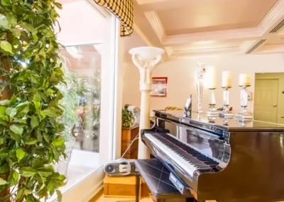 Interior view of a piano and decorative plants