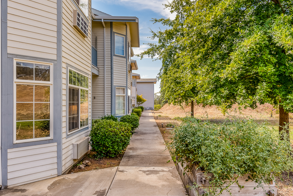 Pathway through outdoor space with trees and buildings.