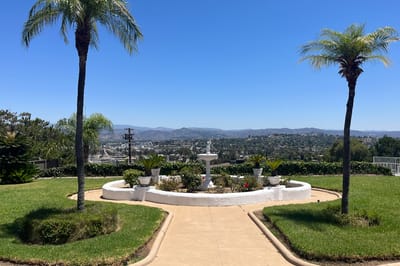 Garden area with palm trees overlooking a scenic view