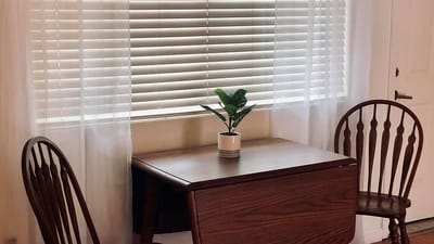 Cozy interior dining area with a plant and chairs