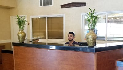 Reception area with friendly staff member