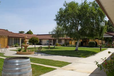 Outdoor garden area with trees and seating