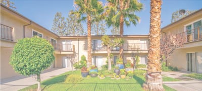Courtyard with palm trees and landscaping