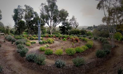 Serene garden space with various plants and a statue