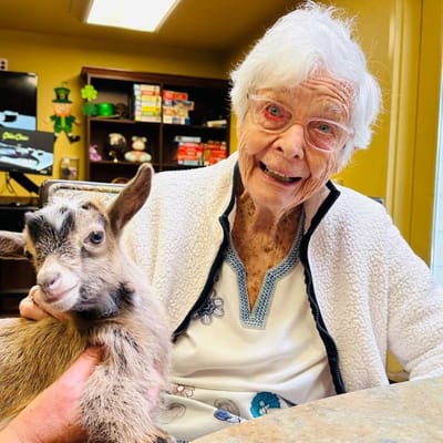Elderly woman holding a goat in an activity room