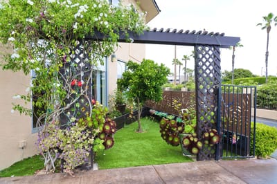Beautifully landscaped entrance to an assisted living facility