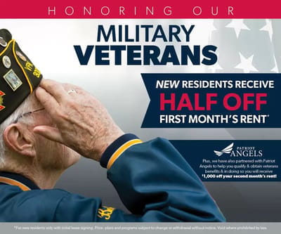Veteran saluting with a military cap, patriotic theme