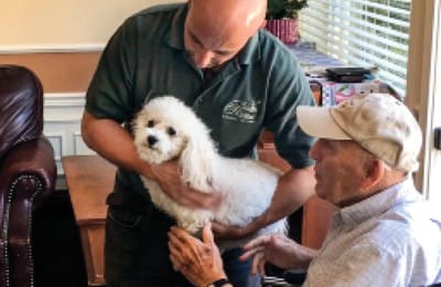 Staff member showing a dog to a resident