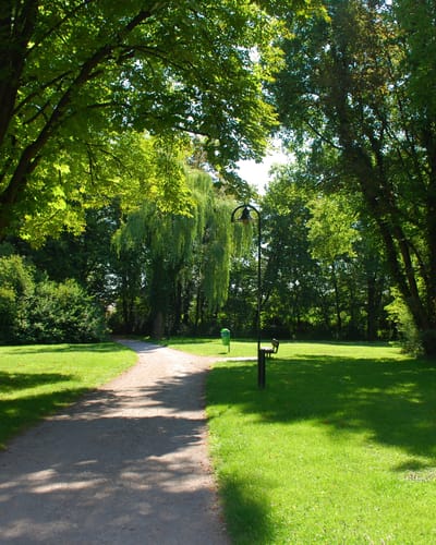 Pathway through a lush green garden area