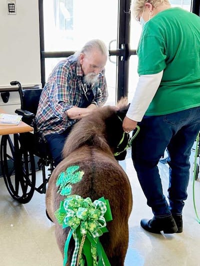 Resident interacting with therapy pony during activity