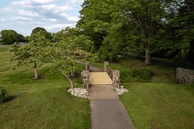 Pathway through a landscaped garden area