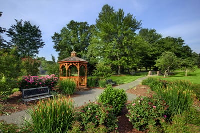 Beautifully landscaped garden with gazebo
